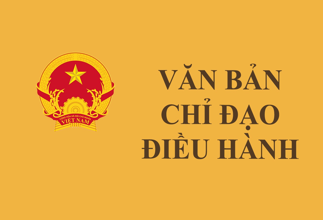 UBND thành phố Buôn Ma Thuột triển khai các giải pháp phòng, chống bệnh Dịch tả lợn Châu Phi trên địa bàn Thành phố